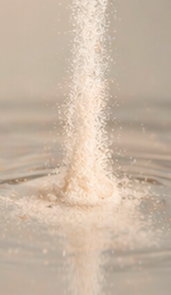 Collagen Peptides